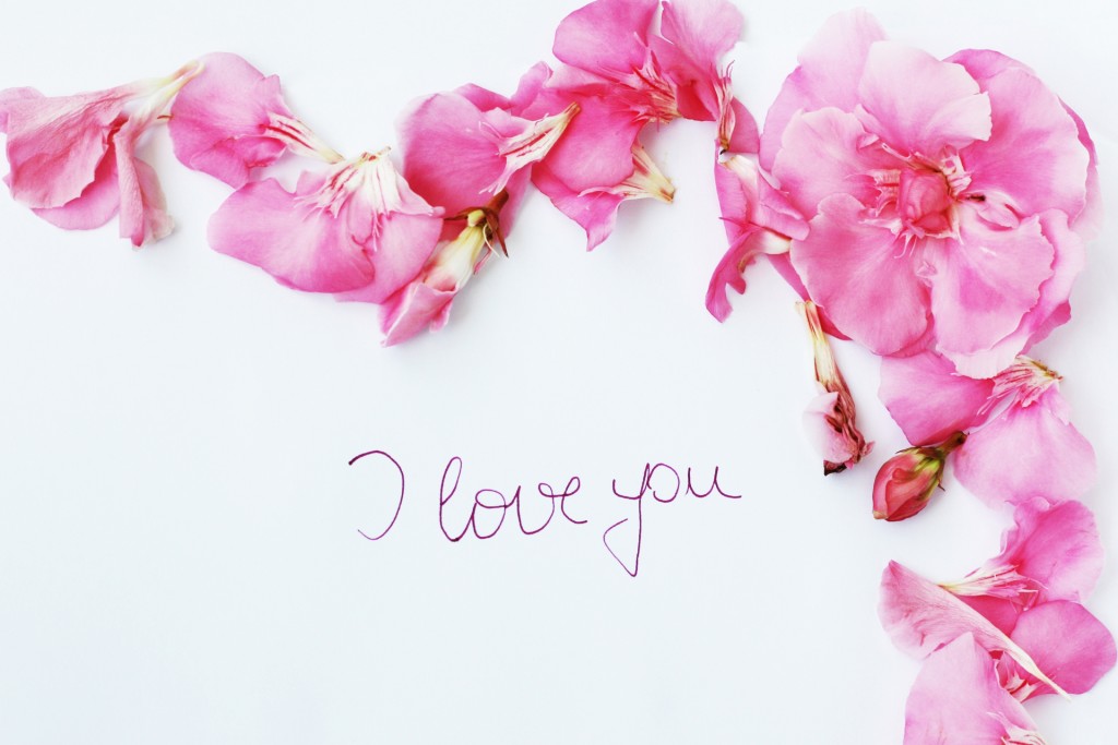 Love card with pink oleander flowers border